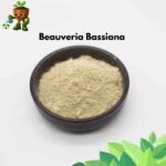 Beauveria Bassiana 200g pack – Organic pest control solution for home garden by Bhumij Plants